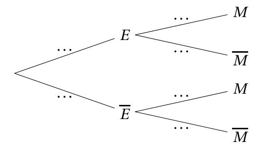 Figure de l'exercice 1