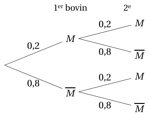 Figure du corrigé de l'exercice 1