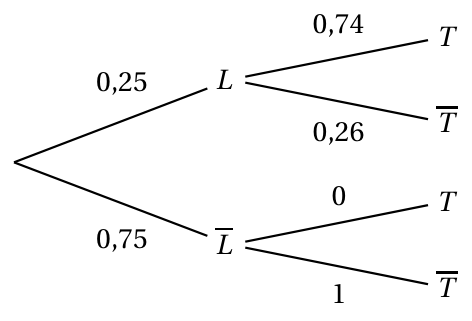 Figure du corrigé de l'exercice 3