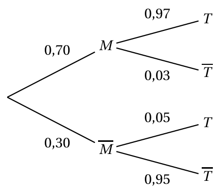 Figure du corrigé de l'exercice 1