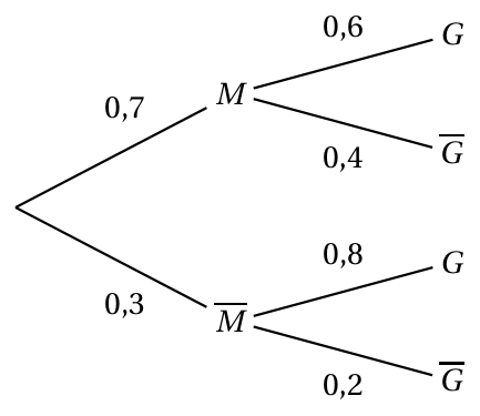 Figure du corrigé de l'exercice 2