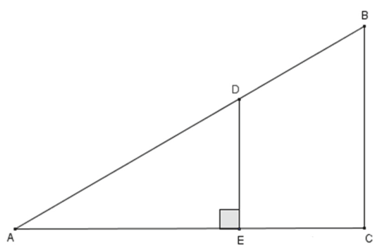 Triangle ABC : A à gauche, C à droite sur la même horizontale, B au-dessus de C. D est sur [AB], E sur [AC] ; le segment [DE] est vertical et un angle droit est marqué en E (donc (DE) ⊥ (AC)).