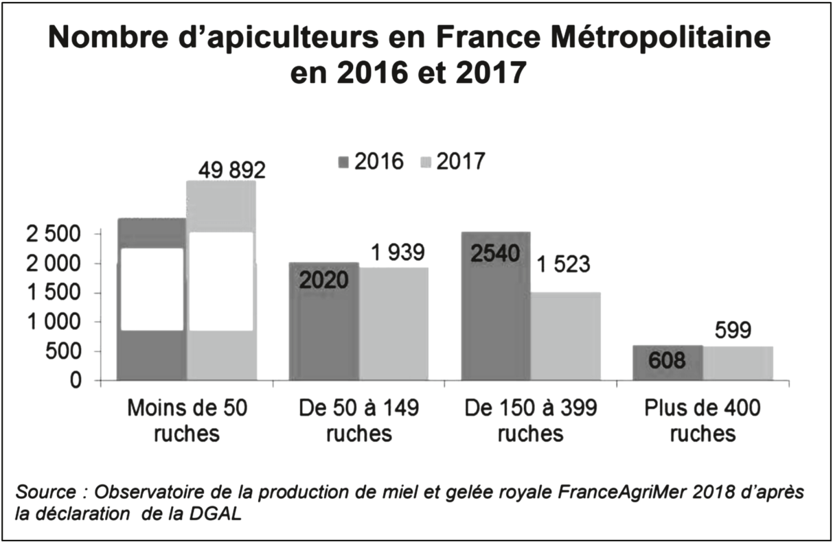 Diagramme en barres « Nombre d'apiculteurs en France métropolitaine en 2016 et 2017 », par catégories de ruches. Moins de 50 ruches : barre coupée (2016 : valeur masquée ; 2017 : 49 892). De 50 à 149 ruches : 2 020 en 2016 et 1 939 en 2017. De 150 à 399 ruches : 2 540 en 2016 et 1 523 en 2017. Plus de 400 ruches : 608 en 2016 et 599 en 2017. Source : Observatoire de la production de miel et gelée royale FranceAgriMer 2018.