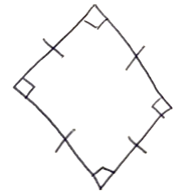 Croquis d'un quadrilatère posé sur une pointe : les quatre côtés portent chacun une marque d'égalité (un trait) et les quatre angles portent la marque d'angle droit.