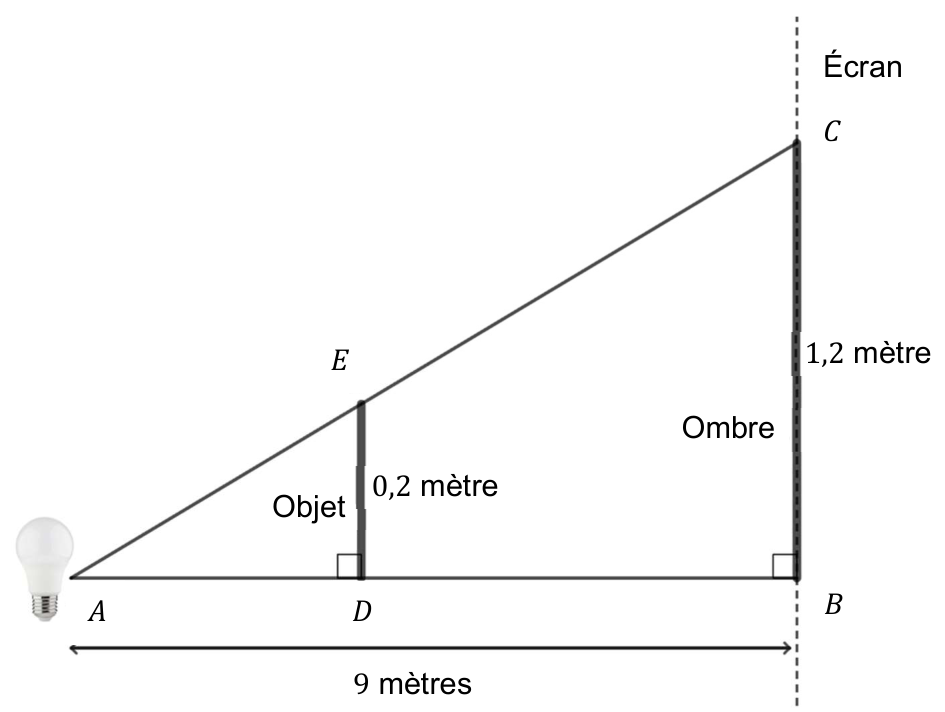Source lumineuse en A. Segment [AB] horizontal de 9 mètres jusqu'à l'écran vertical. L'objet [DE] de 0,2 mètre est vertical en D sur [AB], avec un angle droit en D ; l'ombre [BC] de 1,2 mètre est verticale sur l'écran, angle droit en B. A, E, C sont alignés.