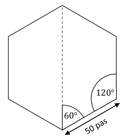 Hexagone régulier posé sur un sommet ; côté de 50 pas en bas à droite ; angle de 60° entre la verticale et le premier côté ; angle intérieur de 120° marqué.