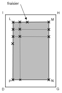 Rectangle LMNP grisé à l'intérieur du potager IHGD ; des croix (fraisiers) aux sommets et le long des côtés, selon un maillage carré.