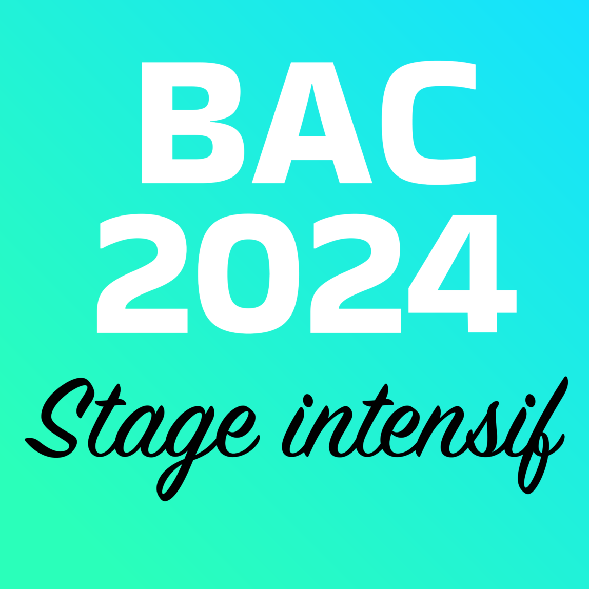 Stage intensif Bac 2024 - Du 15 au 19 avril 2024