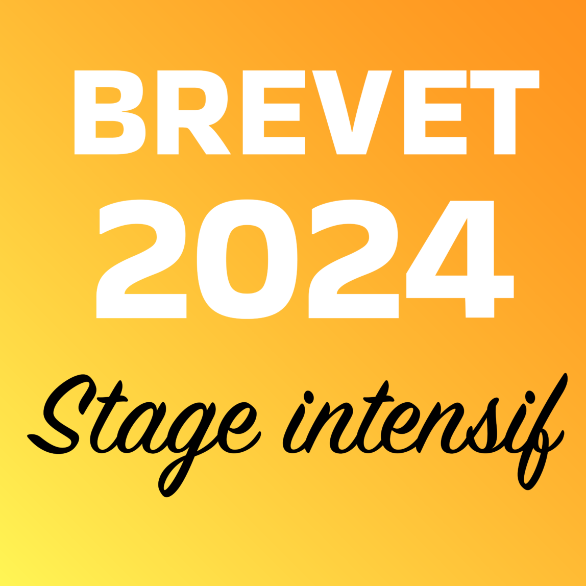 Stage intensif Brevet 2024 - Du 15 au 19 avril 2024